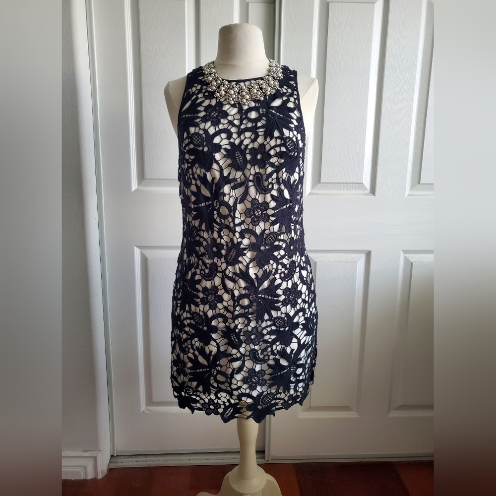 Banana Republic Black Lace Fitted Dress, Size 4P